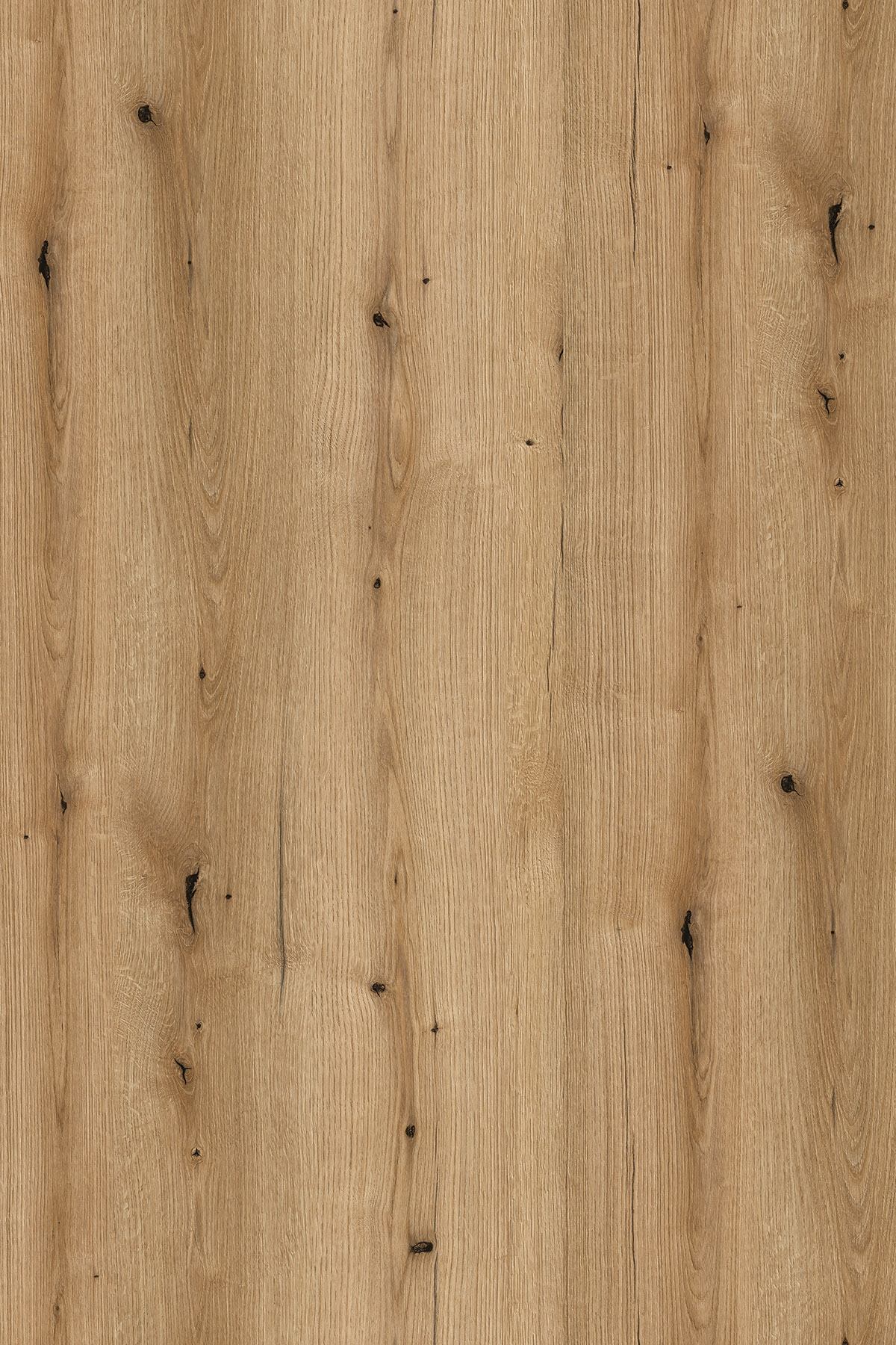 K365 FP Coast Evoke Oak