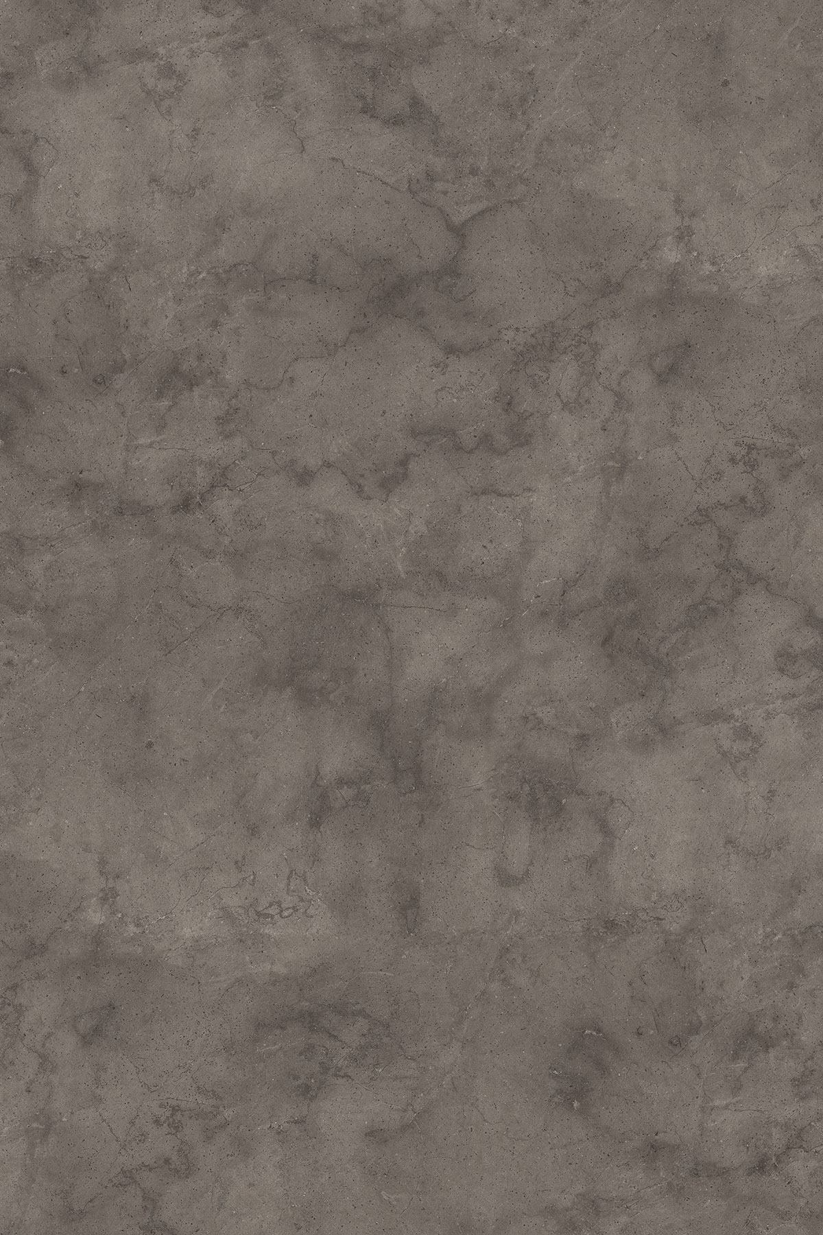 K539 PN Fossil Arosa