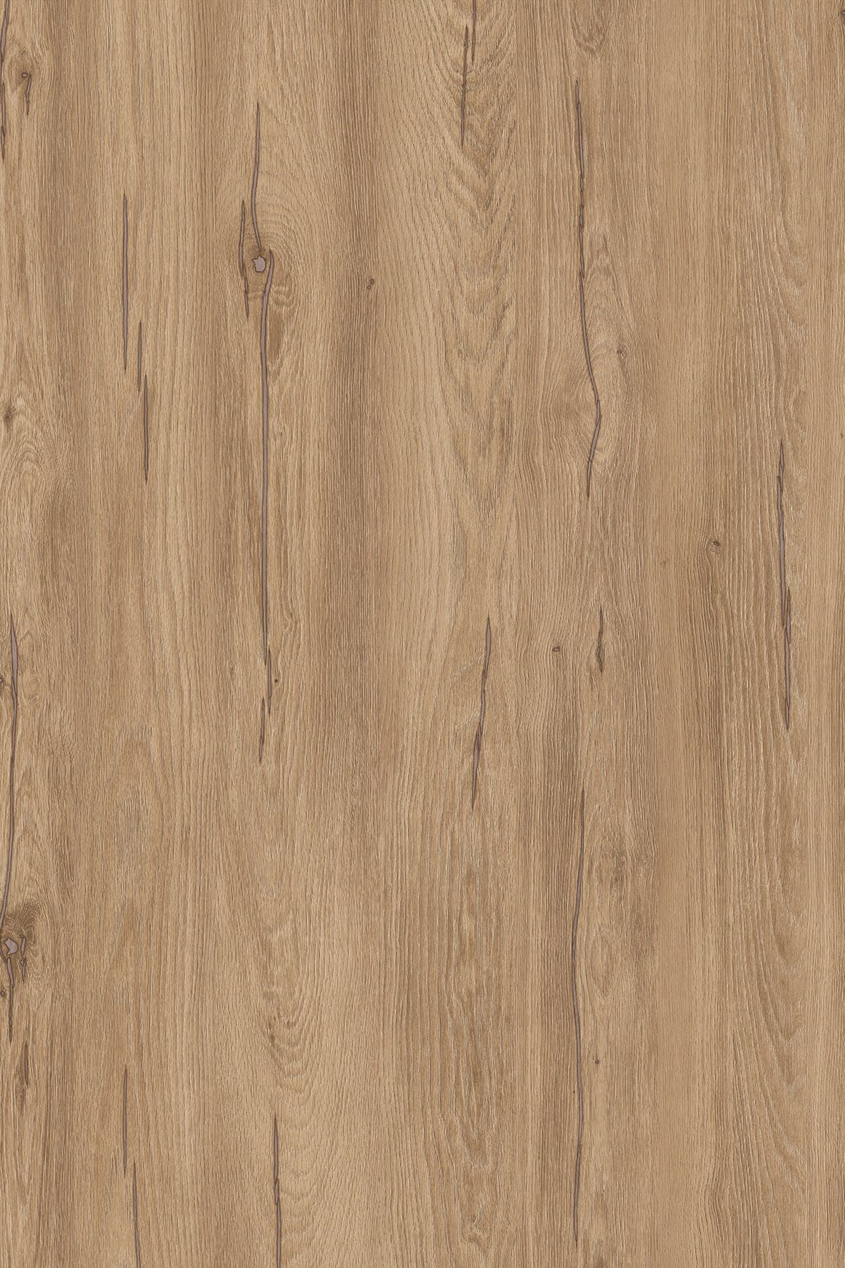 K544 RW Hazel Silverjack Oak