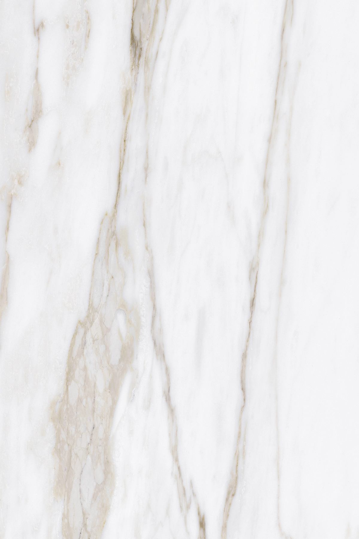 K699 PN Calcatta Ambrosio