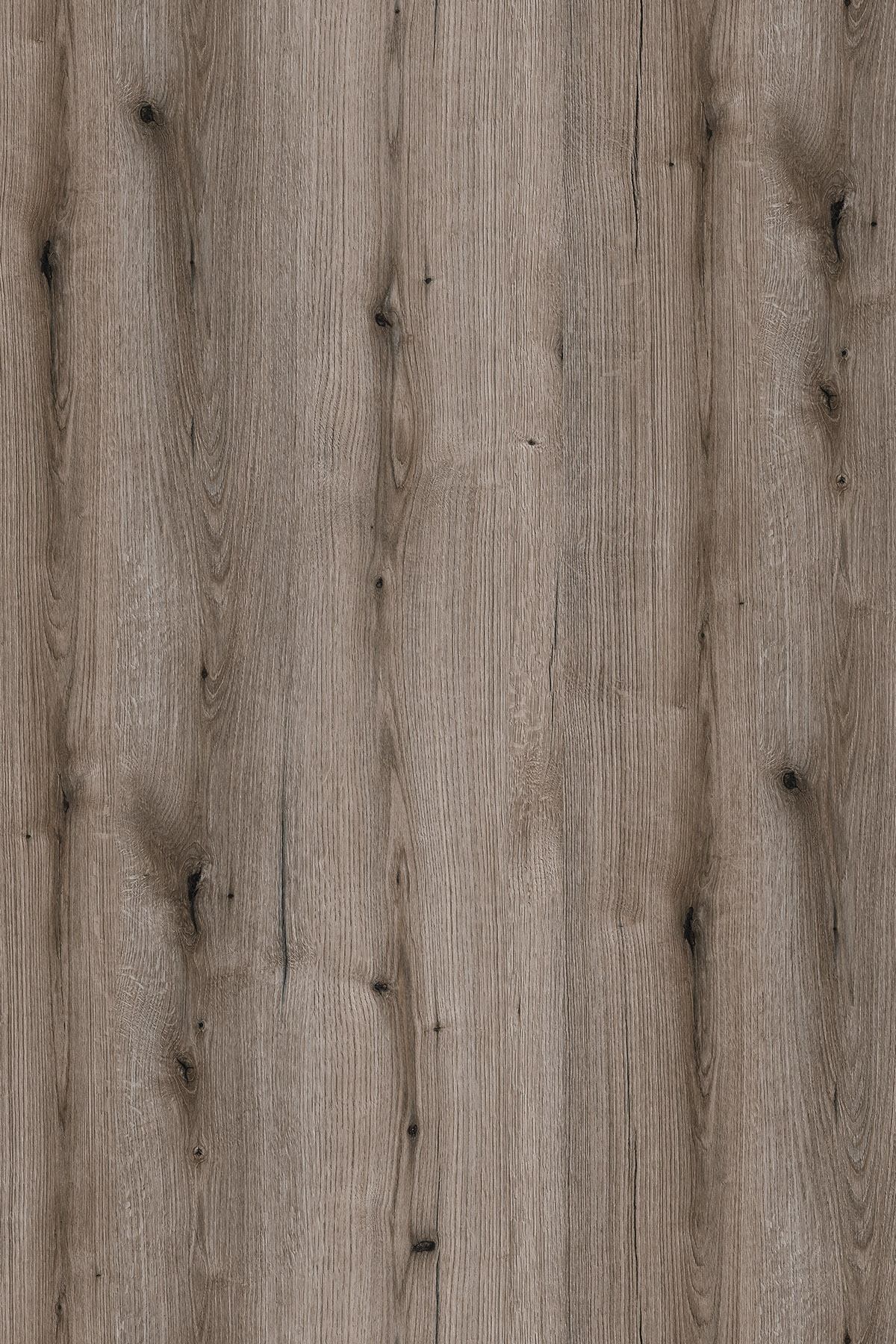 K366 PW Fossil Evoke Oak